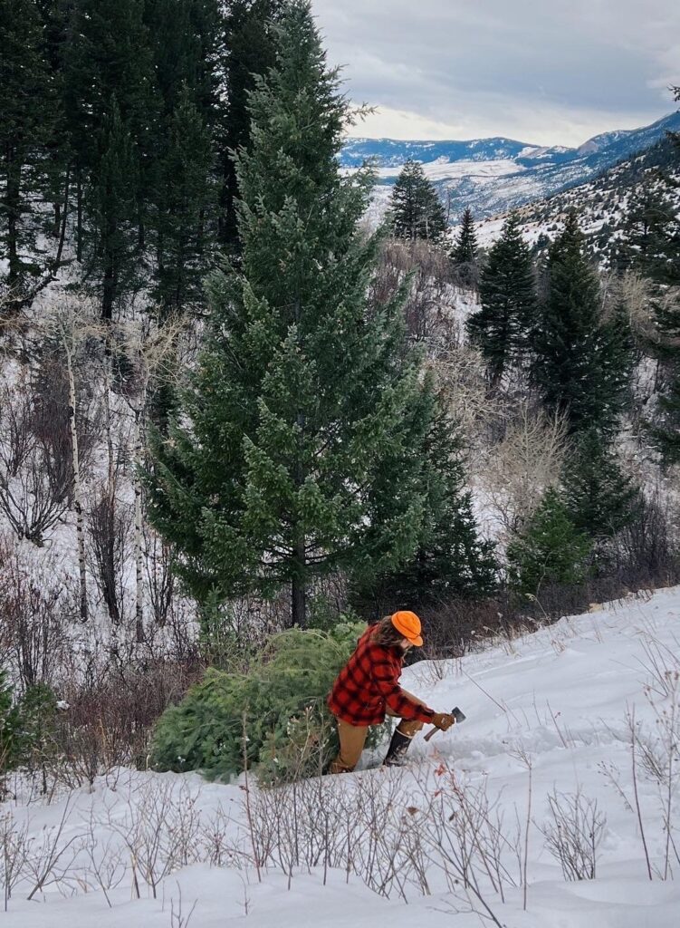 Unraveling the Lumber History