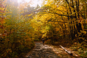 Heidi Eitreim (@withheidijoy) stands under a canopy of fall leaves.