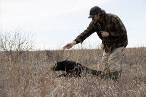 Man in a field motions for his black lab to run ahead of him on a cool, fall day.