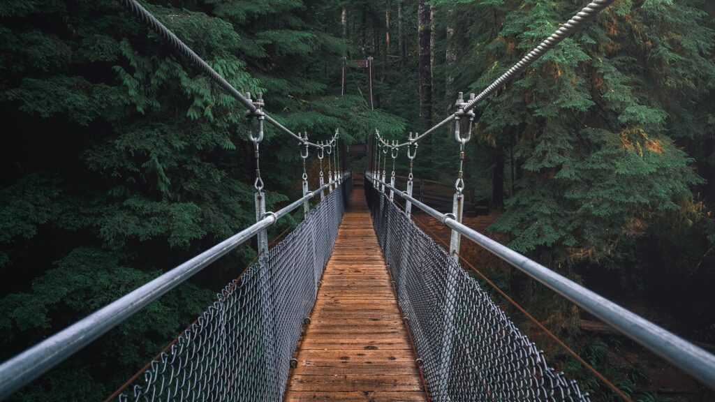 Breaking Barriers: Embracing Inclusivity in Nature a rope bridge in the woods crossing through trees