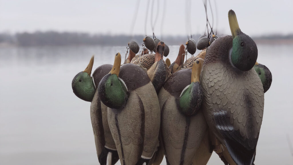 KC Blog The Last Flight Edgar Castillo duck decoys hanging from a line next to the water