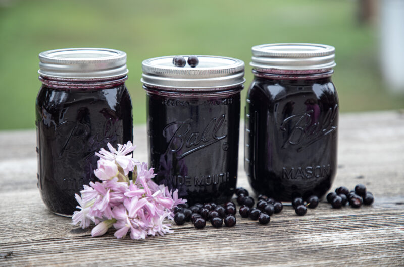 Choke Cherry Jelly