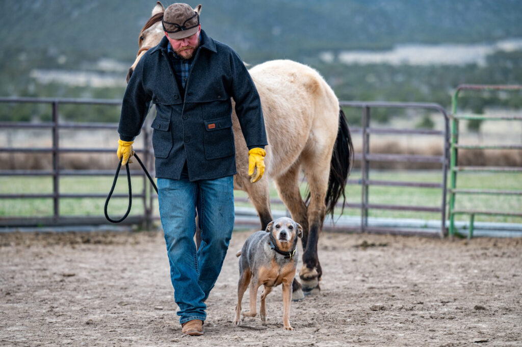 A man walking while leading his horse behind him and his blue heeler beside him.